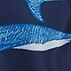 Kék - blue shark